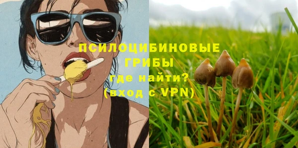 СК Алзамай